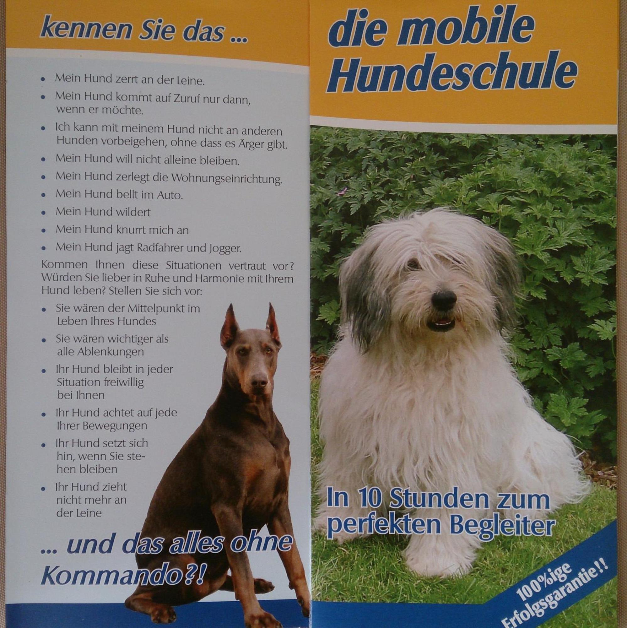 Hotelpension Schwalbennest Benz  Exteriör bild
